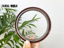 WHEEL HUB SEAL RING 117*140*22 VITON BAUM6SLX27
SEAL MANUFACTURER