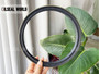 FRONT AXLE SHAFT WHEEL HUB SEAL 190*220*16/18 NBR RWDR-CASSETTE MASSEY FERGUSON 3429815M3
AGRICULTURE EQUIPMENT SEAL SOLUTION