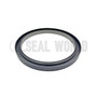SEAL RING 235*280*15/22.5 NBR COMBI CASE IH 863562
CASE IH 863562