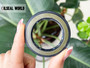 HIGH PRESSURE SHAFT SEAL 35*52*5 NBR BAKHDSN FOR SAUER MOTOR MOS160
