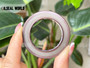 HIGH PRESSURE SHAFT SEAL 35*52*6/5.5 VITON BAFSL1SF REXROTH A6VM28