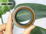HIGH PRESSURE SHAFT SEAL 38*58*11 NOK/AP2240G NBR TCN