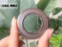 HIGH PRESSURE SHAFT SEAL 30*48*6 VITON BAFSL1SF FOR REXROTH A10VG16