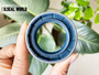 DIFFERENTIAL DRIVE AXLE SHAFT SEAL 40*60*18.5 NBR+AU COMBI SF6 CASE IH 86623230
SEAL MANUFACTURER