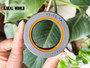 DIFFERENTIAL DRIVE AXLE SHAFT SEAL 42*62*14 NBR+AU COMBI NEW HOLLAND 83952335
AGRICULTURE EQUIPMENT SEAL SOLUTION