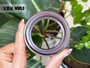 HIGH PRESSURE SHAFT SEAL 45*65*6 VITON BAFSLISF