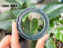 HIGH PRESSURE SHAFT SEAL 49.21*68.22*7.9 NBR HTCR FOR JCB 19029596B