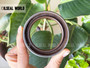 HIGH PRESSURE SHAFT SEAL 55*75*12 VITON UP0803E FOR DANFOSS 341735