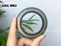 HIGH PRESSURE SHAFT SEAL 50*72*5 NBR BAHDSL1.5 FOR HYUNDAIHSL850- 7A