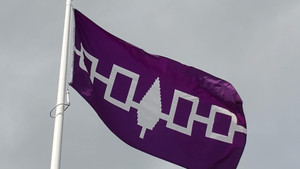 Iroquois Confederacy Flag 3 X 5 Feet- Haudenosaunee Flag Iroquois Confederacy Flag 3 X 5 Feet- Haudenosaunee Flag
