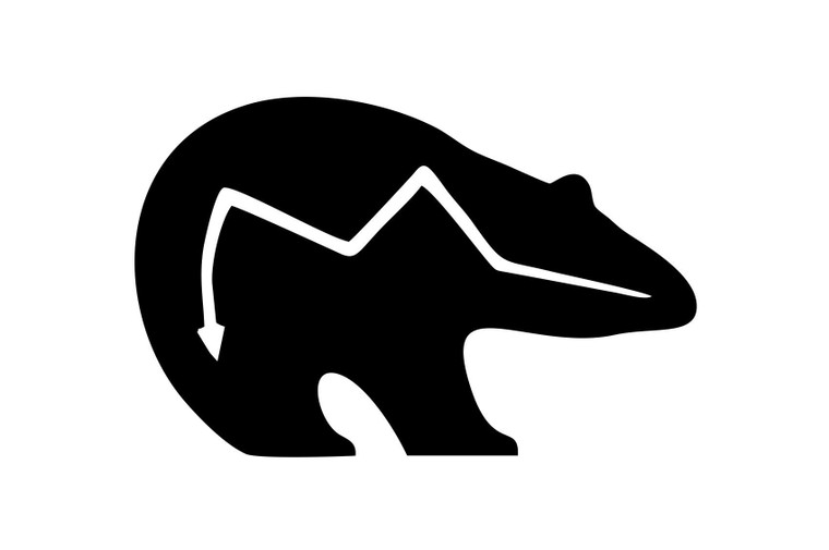 Spirit Bear Vinyl Decal