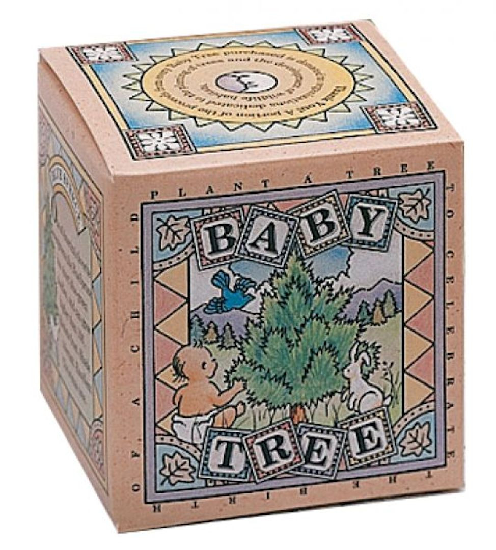 Tree 5 Box Tree in a Box - Tree in a Box