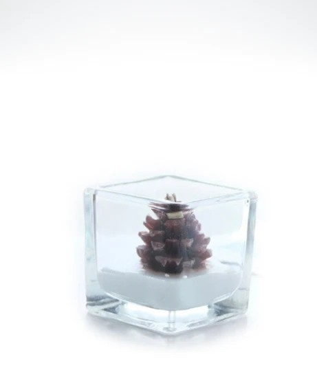Japanese Scented Cup Candle Festive Christmas Square romantic candles for candlelight dinner Japan Christmas decorative aromatic in glass Trending