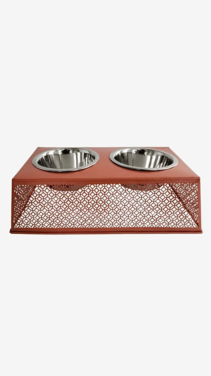Stainless Steel Double-Bowl Feeder