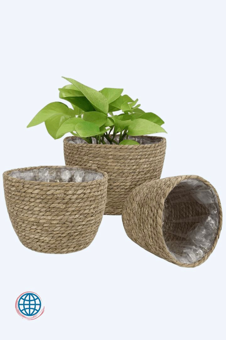 Large Straw Flower Baskets Flowers Pot Potted Plants Creative Woven Baskets Rattan Plant Planter White Trending Plant Pots