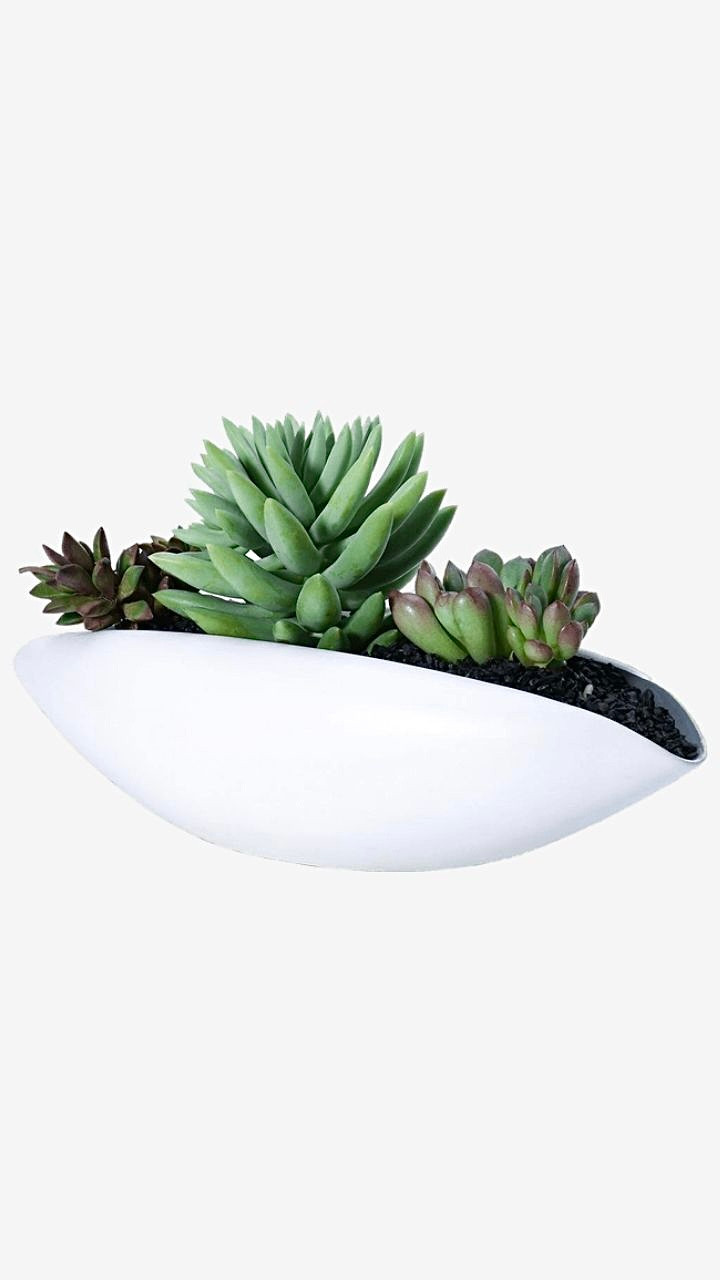Ceramic Planter Vase   Succulent Pot Decorative Centerpiece Plant Pot for Home or Wedding Modern Bowl Decor flowerpot Trending