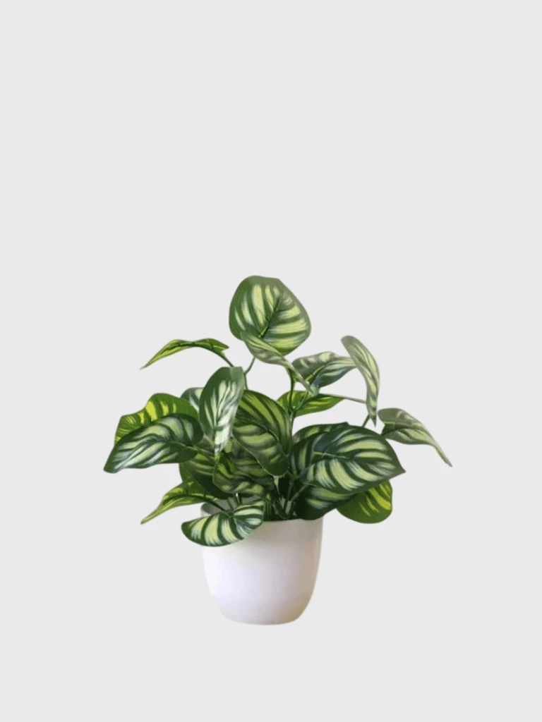 Artificial Watermelon Leaf Plant Home Decoration Accessories Plant Plant Pot Office home Living Room Decoration accessory Fake Plants accessories in Watermelon leaf