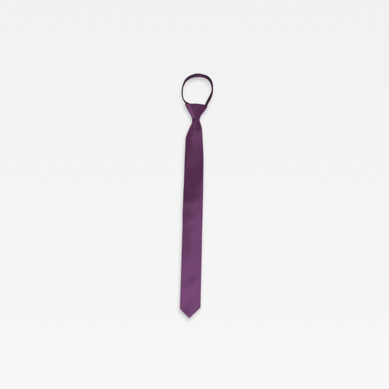 Women’s woman womens Men’s man mens Unisex Genflex Gender Neutral Genderfluid solid fashion Patterned Office work wfh workwear Party Wedding Groomsmen evening slim Necktie Chinese Brand Fashionable Accessory Ties in purple