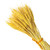 Wheat Ear Dry Flowers 10-Piece 10pcs Natural Bouquet Artificial Flower Simulation Plant Grass For Home Living Room Party Wedding Decoration Artificial Dried Flowers Trending in Yellow Wheat Ear Dry Flowers 10-Piece 10pcs Natural Bouquet Artificial Flower Simulation Plant Grass For Home Living Room Party Wedding Decoration Artificial Dried Flowers Trending in Yellow