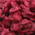 Fake Rose Petals 100-Piece 100PCS Fake Rose Petals Flower Toss Artificial Silk Wedding Petal For Party Event Wedding Decoration Christmas Home Decorations Fake Rose Petals 100-Piece 100PCS Fake Rose Petals Flower Toss Artificial Silk Wedding Petal For Party Event Wedding Decoration Christmas Home Decorations