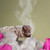 Sage Smudge Stick Wand White Bundle California for Spiritual Incense Sticks Burning Aromatherapy Energy Cleansing Bundles Incense & Incense Burners Sage Smudge Stick Wand White Bundle California for Spiritual Incense Sticks Burning Aromatherapy Energy Cleansing Bundles Incense & Incense Burners