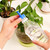 Bottle Cap Watering Sprinkler 2 ~ 9-Piece Garden Plant Sprinkling Tool Household Garden Flower Tool Adjustable Irrigation Plastic Bottle Cap Tools Water Cans in Green Red Blue Bottle Cap Watering Sprinkler 2 ~ 9-Piece Garden Plant Sprinkling Tool Household Garden Flower Tool Adjustable Irrigation Plastic Bottle Cap Tools Water Cans in Green Red Blue