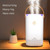 Dual Nozzle Air Humidifier 3300ml