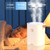 Dual Nozzle Air Humidifier 3300ml