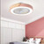 Ceiling Lamp & Fan