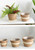 Large Straw Flower Baskets Flowers Pot Potted Plants Creative Woven Baskets Rattan Plant Planter White Plant Pots Large Straw Flower Baskets Flowers Pot Potted Plants Creative Woven Baskets Rattan Plant Planter White Plant Pots