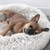 Plush Pet Bed Plush Pet Bed