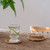 Handmade Rattan Drink Coaster Handmade Rattan Drink Coaster