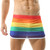 Rainbow Boxers Midi Skirtlet    Genderful Mens Womens Unisex Anywear Boxer Briefs Rainbow Boxers Midi Skirtlet    Genderful Mens Womens Unisex Anywear Boxer Briefs