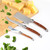Butter Knife Set 3-Piece  3pcs Laguiole Stainless Steel Rosewood Handle Trend Cheese Tools Knives Spreader