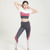 MiteigiYūki 2-Piece Yoga Suit   Women’s Seamless Sportswear Fitness Sport Gym Running Set 2 Piece Costume Activewear Sports Bra + Leggings Sets for Woman in Pink trend Gray grey MiteigiYūki 2-Piece Yoga Suit   Women’s Seamless Sportswear Fitness Sport Gym Running Set 2 Piece Costume Activewear Sports Bra + Leggings Sets for Woman in Pink trend Gray grey
