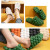 Bubble Slides   Genderful Anywear Unisex Women’s Mens Fashion Slippers Summer Sandals Indoor Womens men’s Soft Shoes Bathroom Massage Bottom Flip Flops Footwear for Man Woman in beige-white green orange black Bubble Slides   Genderful Anywear Unisex Women’s Mens Fashion Slippers Summer Sandals Indoor Womens men’s Soft Shoes Bathroom Massage Bottom Flip Flops Footwear for Man Woman in beige-white green orange black