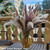 Dried Pampas Grass 200-Piece   Boho flowers decoration Home farmhouse country wedding room bohemia table decorations Bouquet Bohemian Bunny Tail grasses Dried Pampas Grass 200-Piece   Boho flowers decoration Home farmhouse country wedding room bohemia table decorations Bouquet Bohemian Bunny Tail grasses