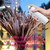 Dried Pampas Grass 200-Piece   Boho flowers decoration Home farmhouse country wedding room bohemia table decorations Bouquet Bohemian Bunny Tail grasses Dried Pampas Grass 200-Piece   Boho flowers decoration Home farmhouse country wedding room bohemia table decorations Bouquet Bohemian Bunny Tail grasses