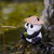 Panda Fishing   Ancient method fish tank decoration, micro landscape, Fish pond, rockery garden landscape courtyard outdoor decorations pandas decorative objects Panda Fishing   Ancient method fish tank decoration, micro landscape, Fish pond, rockery garden landscape courtyard outdoor decorations pandas decorative objects