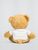 Teddy Bear with T-Shirt logo    Plush Doll 24cm Toy   Cute traditional Bears Kawaii Dolls Baby Soft Stuffed Birthday Gift Kids Toys in brown with white t-shirts and pink Japanese miteigi branded logos Teddy Bear with T-Shirt logo    Plush Doll 24cm Toy   Cute traditional Bears Kawaii Dolls Baby Soft Stuffed Birthday Gift Kids Toys in brown with white t-shirts and pink Japanese miteigi branded logos