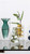 Decorative Glass Vase Teal green Decorative Glass Vase Teal green