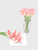 3/5Pcs Calla Lily Artificial Flowers 3-5 Piece 40cm Bouquet 40CM Fake Flowers for Home Room Decor Garden Wedding Decoration DIY Vase floral arrangement Ornament in light pink 3/5Pcs Calla Lily Artificial Flowers 3-5 Piece 40cm Bouquet 40CM Fake Flowers for Home Room Decor Garden Wedding Decoration DIY Vase floral arrangement Ornament in light pink