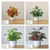 Artificial Watermelon Leaf Plant Home Decoration Accessories Plant Plant Pot Office home Living Room Decoration accessory Fake Plants accessories in Green Perilla, Maple Leaf, Watermelon leaf, Red Perilla