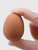 1 Pcs Realistic Novelty Bouncy Eggs Fake Rubber Bouncing Balls Model Farm Chicken Nesting Hen Hatching Egg Pet Toys Magic Prank Joke 1-Piece in brown 1 Pcs Realistic Novelty Bouncy Eggs Fake Rubber Bouncing Balls Model Farm Chicken Nesting Hen Hatching Egg Pet Toys Magic Prank Joke 1-Piece in brown