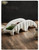 Creative Arch Bridge Shape Ceramic Snack Appetizer Dessert Sushi Plate 3 Grids Snack Plates condiment Dishes Cuisine Tableware Dishes in white