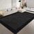 Norway Scandinavia Scandinavian Norwegian Nordic Minimalist style for Office Living Room Bedroom Washable Floor Lounge Large Modern Home Decoration Minimalism Area Rugs Carpets Mats in black, with trim