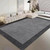 Norway Scandinavia Scandinavian Norwegian Nordic Minimalist style for Office Living Room Bedroom Washable Floor Lounge Large Modern Home Decoration Minimalism Area rugs Carpets in Gray grey with black trim