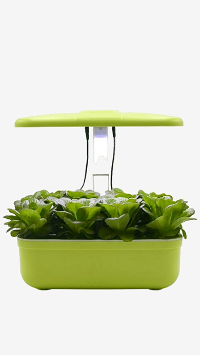 Smart Garden Hydroponics Growing System Green Indoor Herb Garden Kit with LED Grow Light Automatic Timer Germination Hydroponic Nursery Pots Trending Smart Garden Hydroponics Growing System Green Indoor Herb Garden Kit with LED Grow Light Automatic Timer Germination Hydroponic Nursery Pots Trending