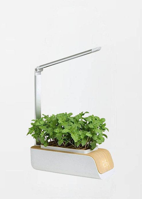 Smart Hydroponic Garden Indoor Herb Gardens Starter Kit Planter LED Grow Light Kit Hydroponic Growing System Grow Light Box Grower Lamps Trending Smart Hydroponic Garden Indoor Herb Gardens Starter Kit Planter LED Grow Light Kit Hydroponic Growing System Grow Light Box Grower Lamps Trending