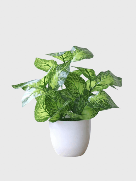 Artificial Watermelon Leaf Plant Home Decoration Accessories Plant Plant Pot Office home Living Room Decoration accessory Fake Plants accessories in Green Perilla Artificial Watermelon Leaf Plant Home Decoration Accessories Plant Plant Pot Office home Living Room Decoration accessory Fake Plants accessories in Green Perilla